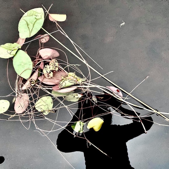 Artist prints Diana Cline - Picture 16 of 16